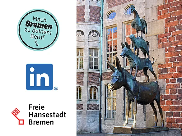 Startseite des Karriereportals auf LinkedIn 