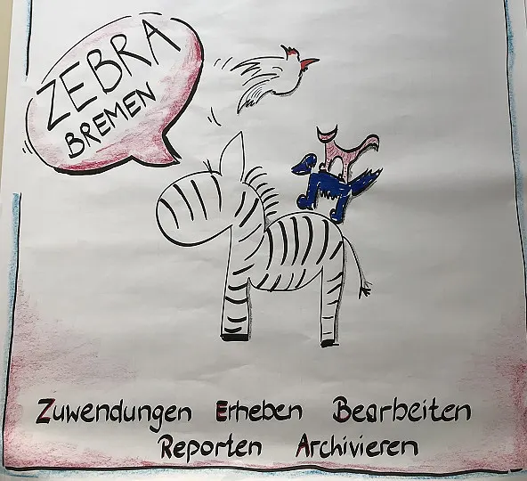 Zebra